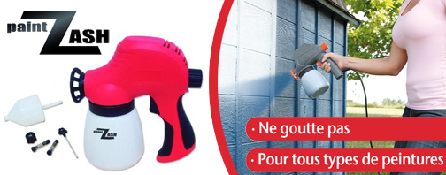 Paint Zash